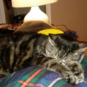 Meet your Posher, Michelle